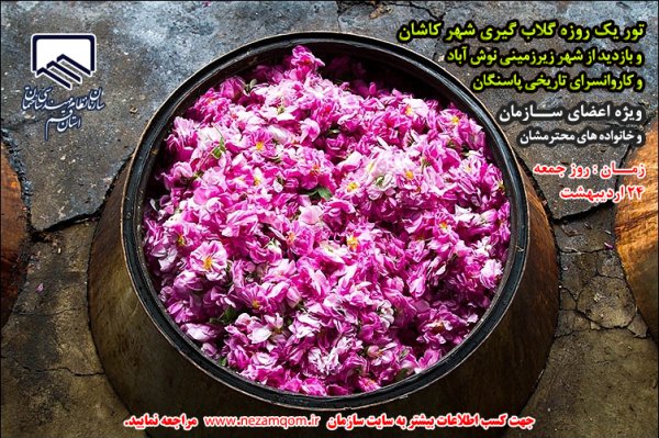 فراخوان تور یک روزه گلاب گیری شهر کاشان و بازدید از شهر زیرزمینی نوش آباد و کاروانسرای تاریخی پاسنگان